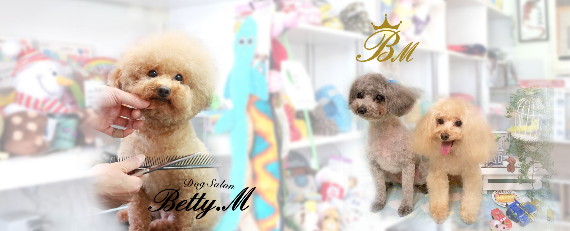 Ｄｏｇｓａｌｏｎ　Ｂｅｔｔｙ．Ｍ