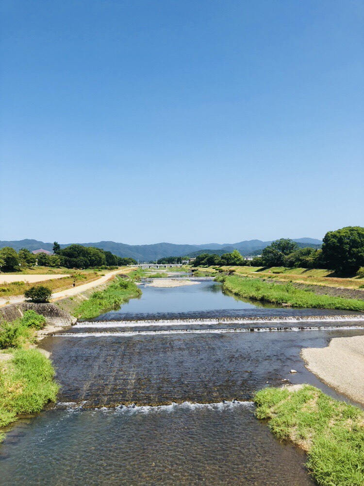 京都　鴨川（賀茂川）