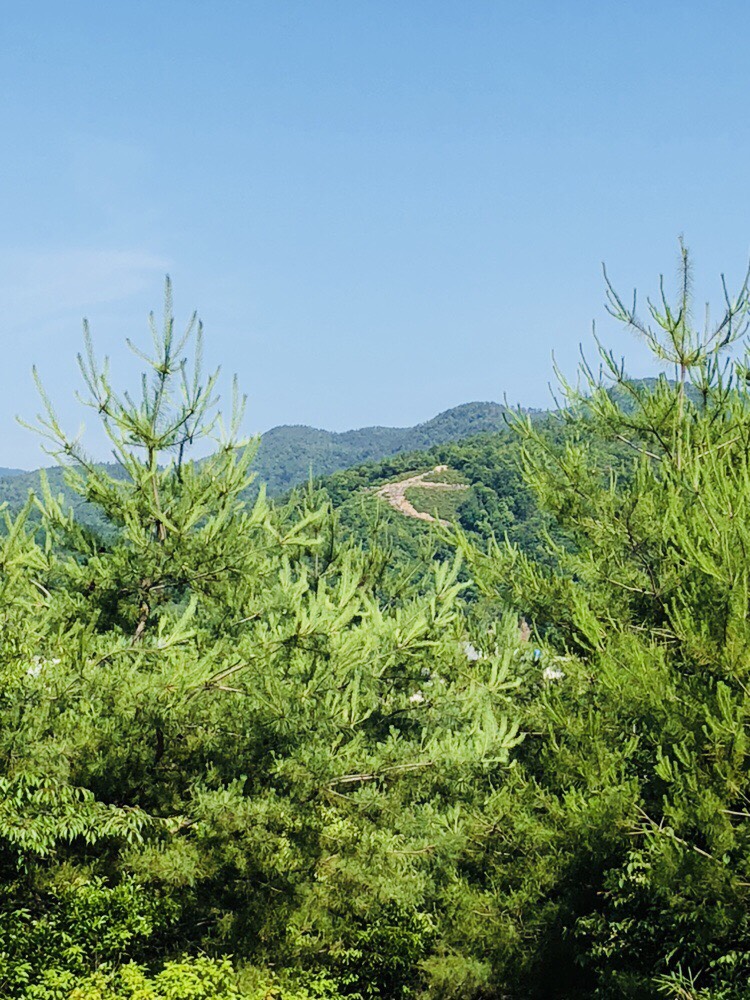 京都五山送り火　大文字