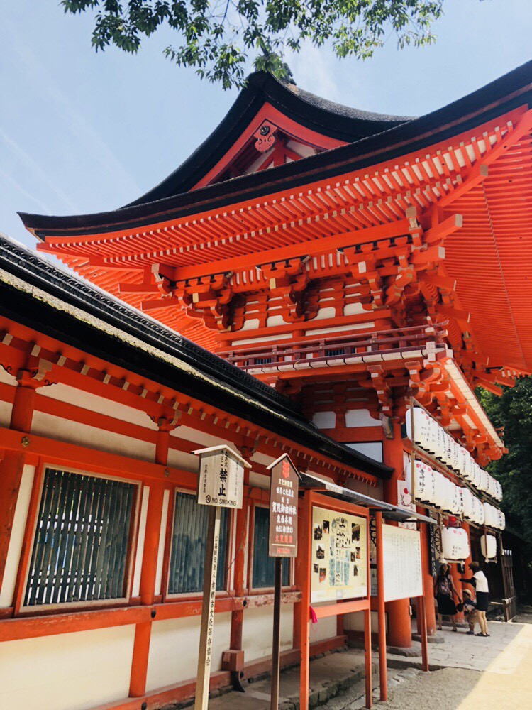 京都　世界遺産 下鴨神社