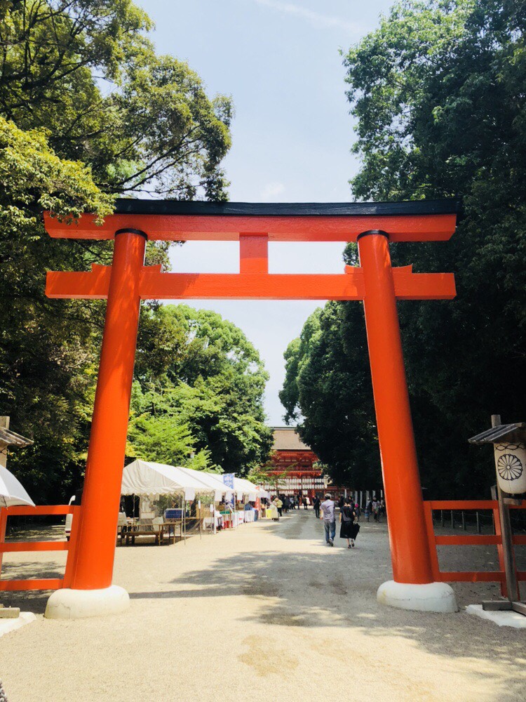 京都　世界遺産 下鴨神社